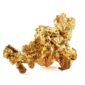 native 0.24 gram gold nugget from Venezuela isolated on white ba